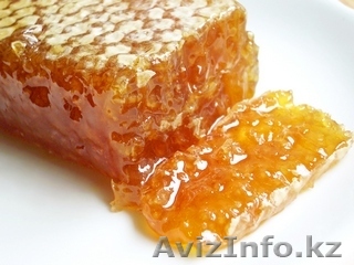 Меед. Своя пасека. - Изображение #1, Объявление #518765