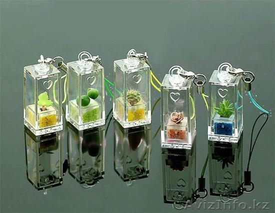 Твой карманный цветок! - Изображение #1, Объявление #995858