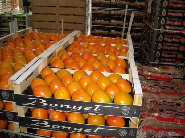 хурма оптом без посредников - Изображение #1, Объявление #1012672