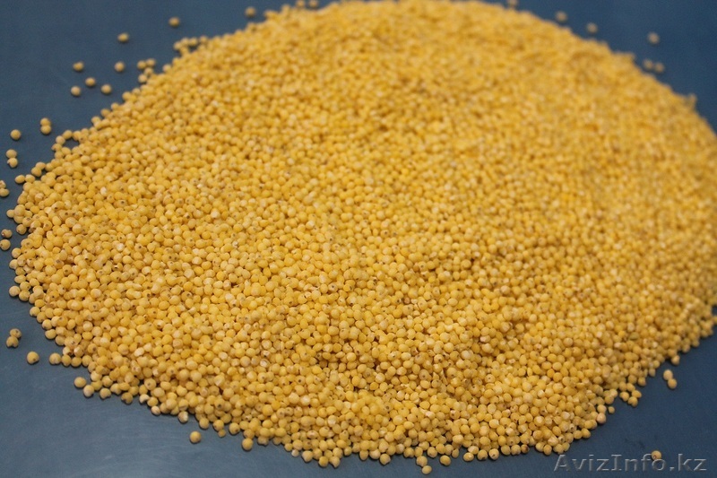 пшено шлифованное 1 сорт Россия - Изображение #1, Объявление #1156617