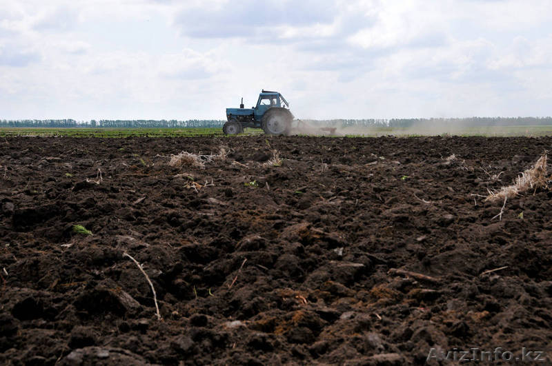 Продаю сельхоз-участки расположенные в Астраханской области - Изображение #1, Объявление #1239240