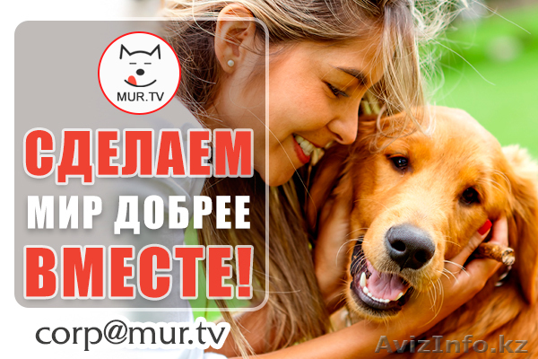 Информационная поддержка. Сделаем добрее мир  - Изображение #1, Объявление #1623297