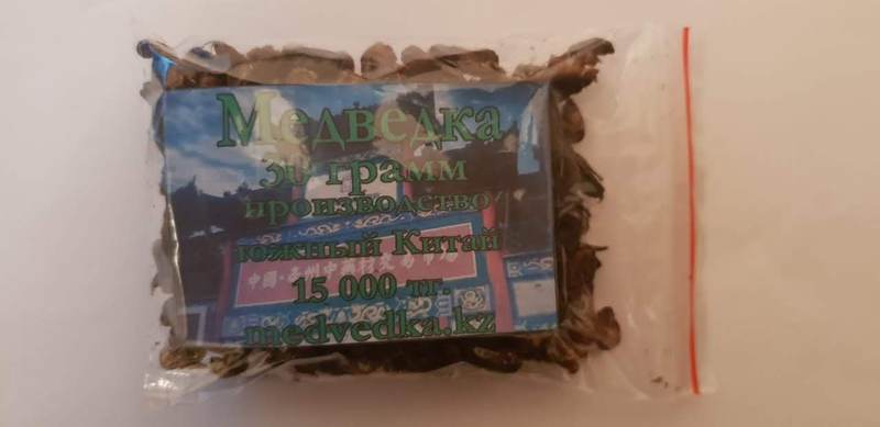 китайская медведка для лечения туберкулёза любой формы - Изображение #1, Объявление #1298590