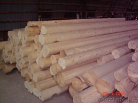 Пиломатериалы, срубы домов, бань, беседок - Изображение #2, Объявление #51800