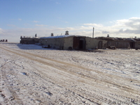 продам крестянское хозяйство - Изображение #5, Объявление #114429