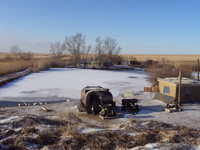 продам крестянское хозяйство - Изображение #4, Объявление #114429