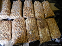 сыр чечил-коса продам оптом - Изображение #4, Объявление #597254