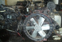 Man 19-343   340 двигатель - Изображение #3, Объявление #806453