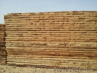 ТОО Лесная Компания - Изображение #4, Объявление #979116