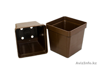 Кассеты для рассады - Изображение #5, Объявление #1358056