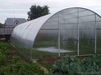 Теплицы 3*10 метров - Изображение #5, Объявление #1220203