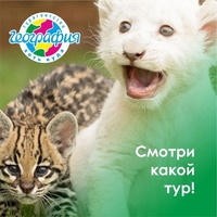 ТУРЫ/ ПУТЕВКИ во все массовые напраления - Изображение #2, Объявление #1654130