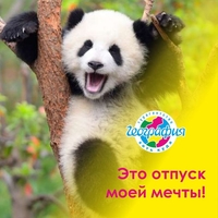 ТУРЫ/ ПУТЕВКИ во все массовые напраления - Изображение #1, Объявление #1654130