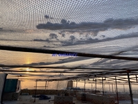 Пленка.Армированная пленка.Пленка для парника,теплиц.Пленка для фасада.  - Изображение #4, Объявление #1721589