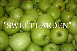 Наиболее хорошие яблоки из Польши -  большой опт !!! - Изображение #1, Объявление #377423