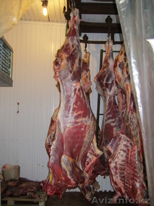 Мясо КРС халяль от производителя - Изображение #2, Объявление #802083