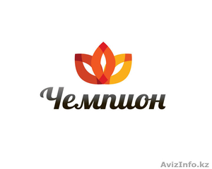 разрешение споров,  возврат долгов,  кредитов