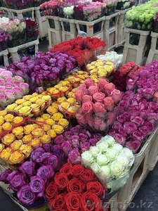 Сеть цветочных салонов ROMANTIC - Изображение #6, Объявление #1283457