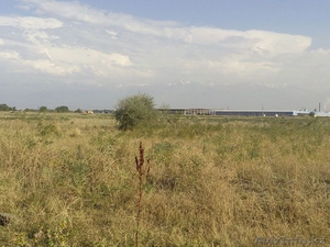 Продажа зем.участков для ведение товарного сельского хозяйства (КХ) в пос. 