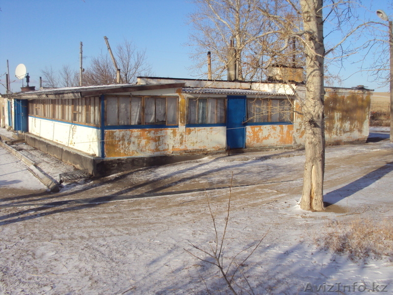 продам крестянское хозяйство - Изображение #3, Объявление #114429