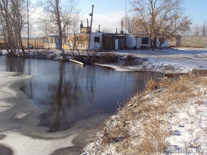 продам крестянское хозяйство - Изображение #1, Объявление #114429