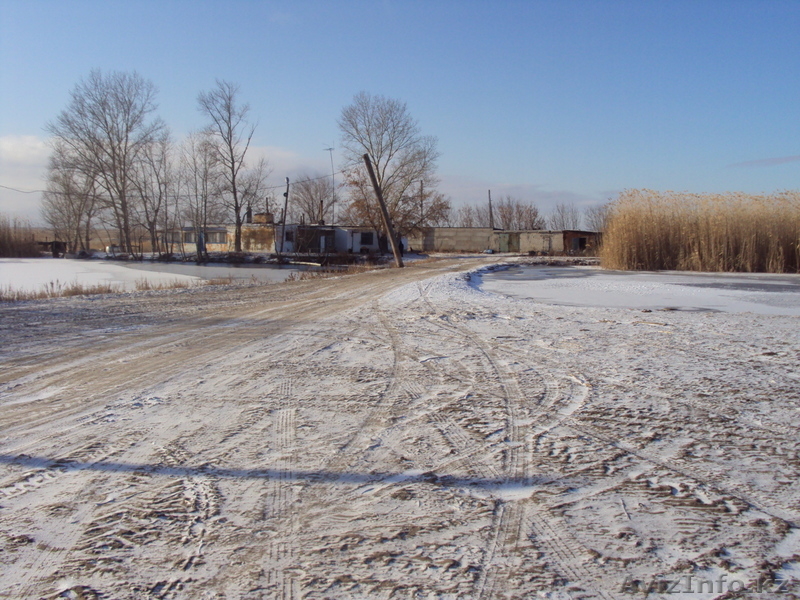 продам крестянское хозяйство - Изображение #2, Объявление #114429