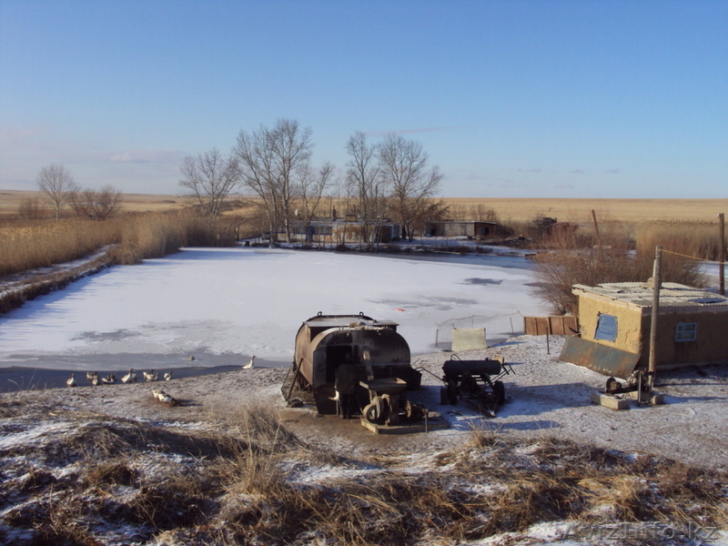 продам крестянское хозяйство - Изображение #4, Объявление #114429