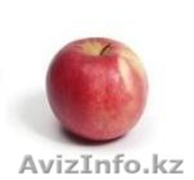 крупные и средние поставки фруктов - Изображение #1, Объявление #277064