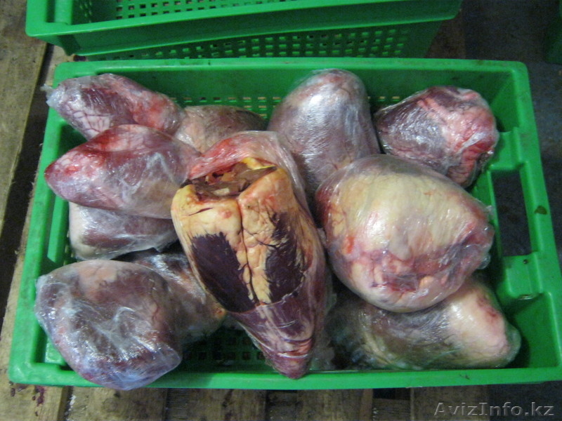 Мясо КРС халяль от производителя - Изображение #4, Объявление #802083