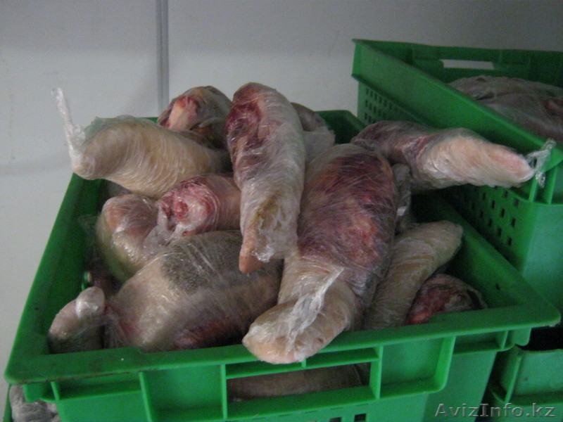 Мясо КРС халяль от производителя - Изображение #5, Объявление #802083