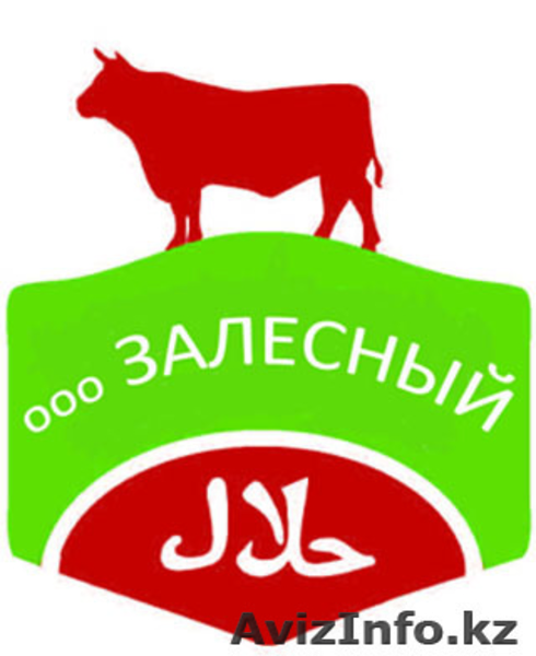 Мясо КРС халяль от производителя - Изображение #1, Объявление #802083