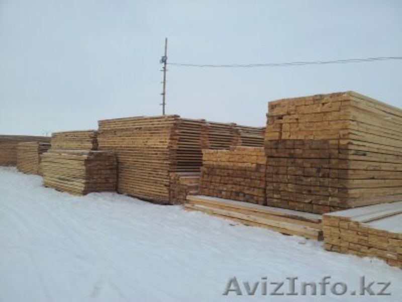 ТОО Лесная Компания - Изображение #1, Объявление #979116