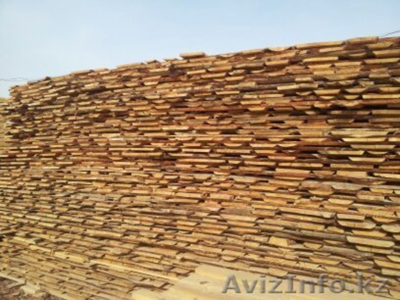 ТОО Лесная Компания - Изображение #3, Объявление #979116