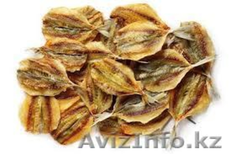 снеки закуска к пиву оптовая продажа кальмары рыба - Изображение #1, Объявление #1239172