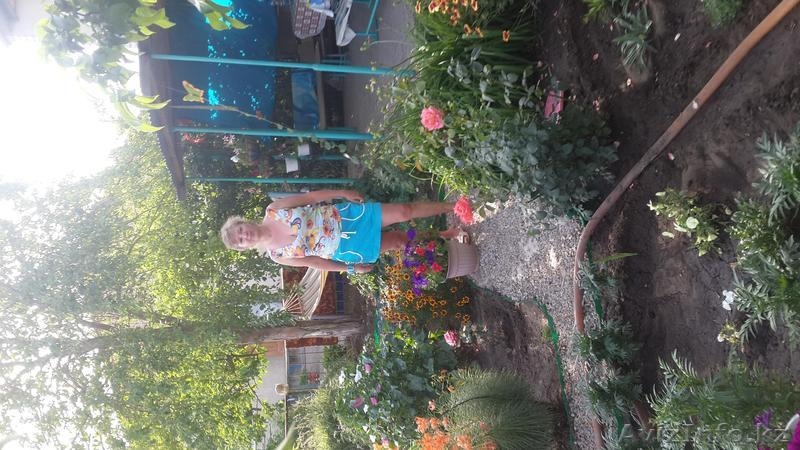 Продам красивую дачу с бассейном - Изображение #5, Объявление #1252608