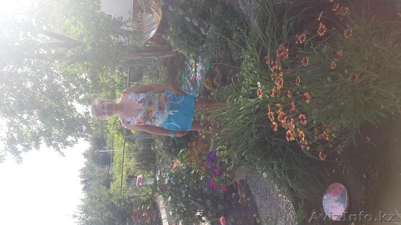 Продам красивую дачу с бассейном - Изображение #6, Объявление #1252608