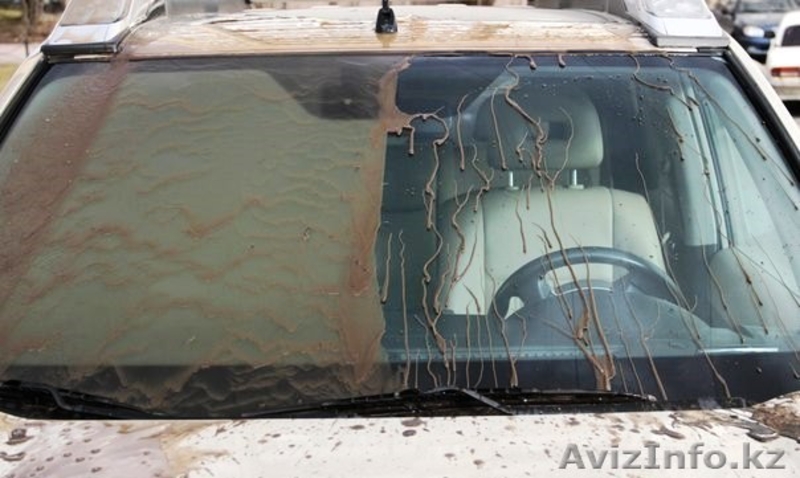 innaqua антидождь антигрязь антилед - Изображение #2, Объявление #1251017