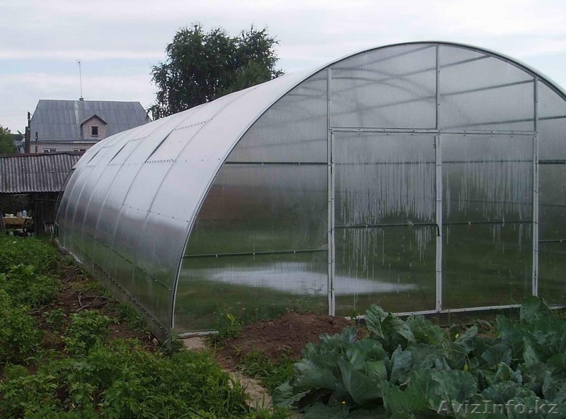 Теплицы 3*10 метров - Изображение #5, Объявление #1220203