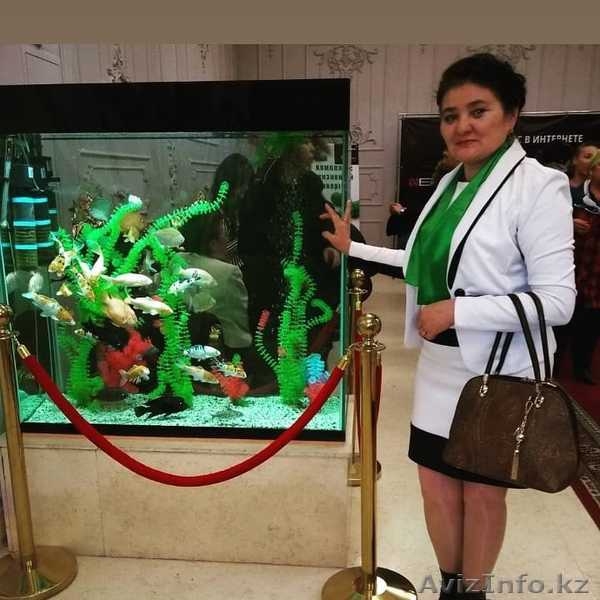 Бизнес с автобусом - Изображение #3, Объявление #1644277